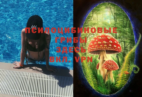 спиды Елабуга