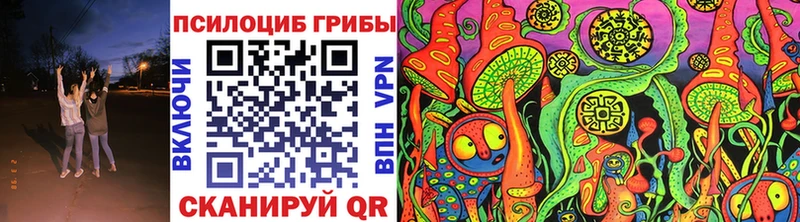 Купить где  Истра  Галлюциногенные грибы Psilocybe 